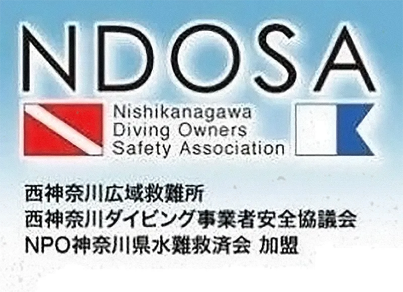 NDOSA